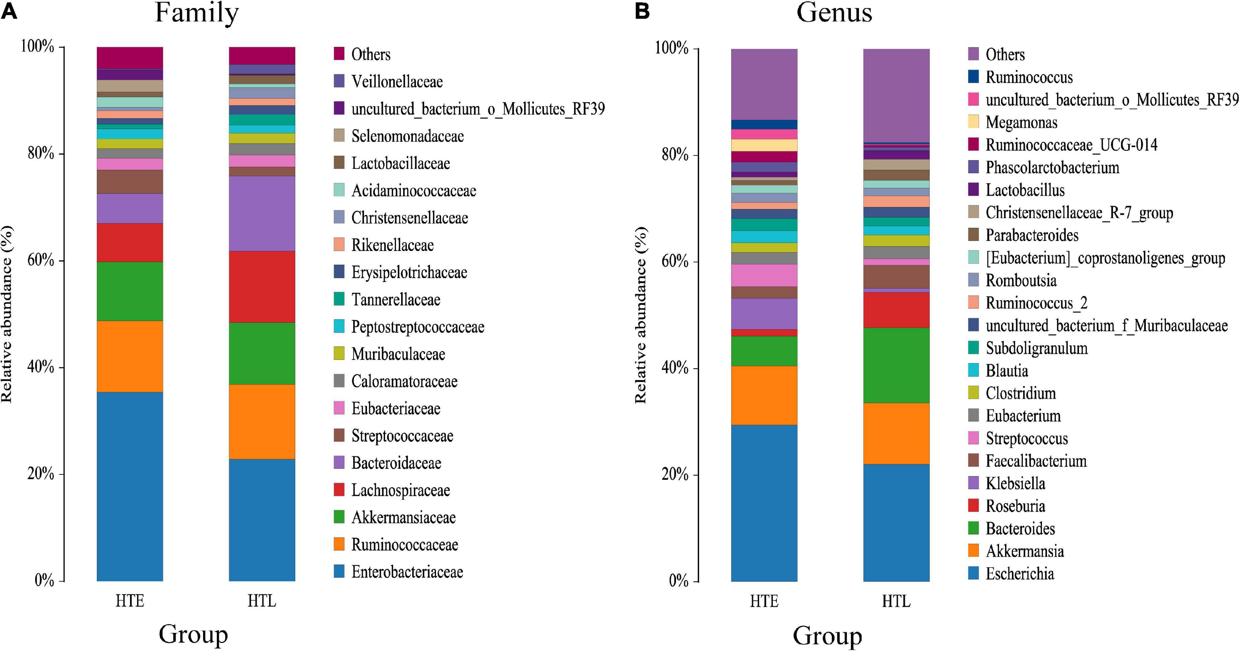 Protection effect of gut microbiota composition and acetate absorption against hypertension-induced damages on the longevity population in Guangxi, China